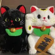 みかん※プロフ必読※の画像