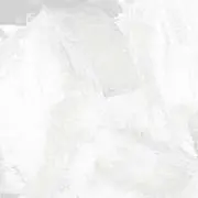 R    プロフ必読の画像
