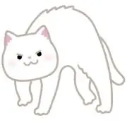 しまこ