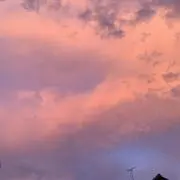 Roseの画像