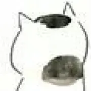 ネコマチコマチ