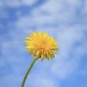 KK20（プロフ確認）