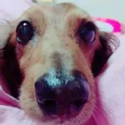 みっき♡