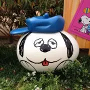 amaの画像