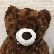 ピーちゃんの画像