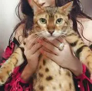 琥珀