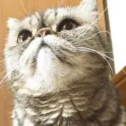 みるきぃの画像