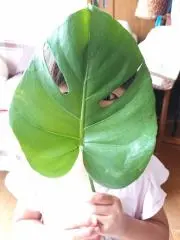 ちどもんの画像