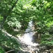 ならまま