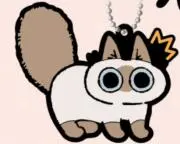 ぼんこの画像