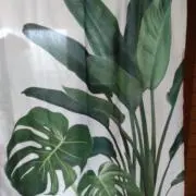 はるの画像