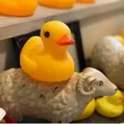 ゆう