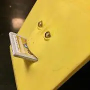 わつこ