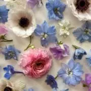 ❁⃘*.Miko❁⃘*.