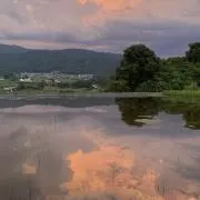 のちの画像