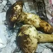 なかちゃん