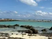 mt712の画像