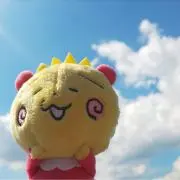ぴょる