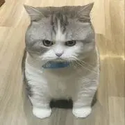 ブゥ