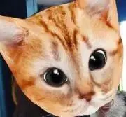 ぴろ☆即購入OKの画像