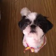 りんだの画像