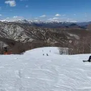 スノーの画像