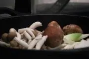 ぽこの画像