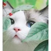 Paintの画像