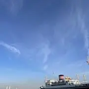 まみの画像