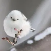 苫小牧の画像
