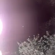 すいかめろんの画像