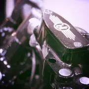 ひいらぎの画像