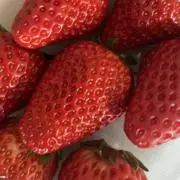 *いさじshop*の画像