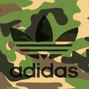 りゅう