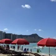 ナンシーの画像
