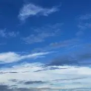 ビアンキの画像
