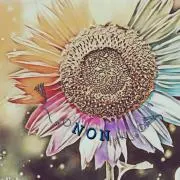 ❅❥❥Non❥❥プロフ見てね❅の画像