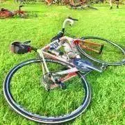 Tarmac SL2の画像