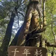 み　値引き歓迎の画像