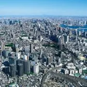 まーくんの画像