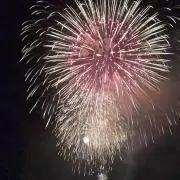 トラの画像