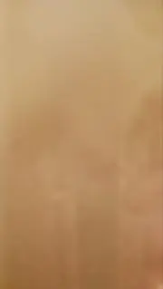 33の画像