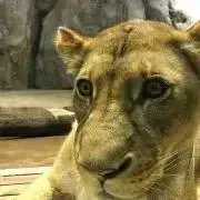 Zeus ※繊細な方はプロフ参照の画像