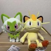 ぬこまるの画像