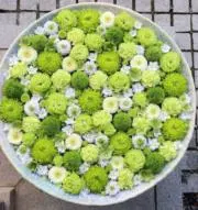 SHIHOの画像