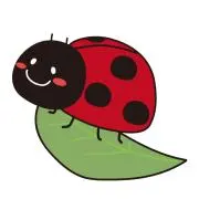 Ladybugの画像