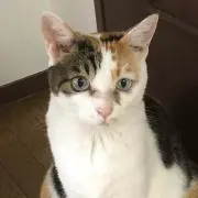 ひでの画像