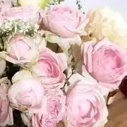 RYN まとめ買い歓迎の画像
