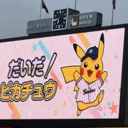ひっぽー