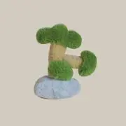 セリの画像